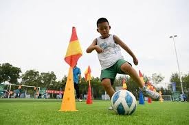 什么是“决策疲软期”？（“决策疲软期”究竟是什么？）